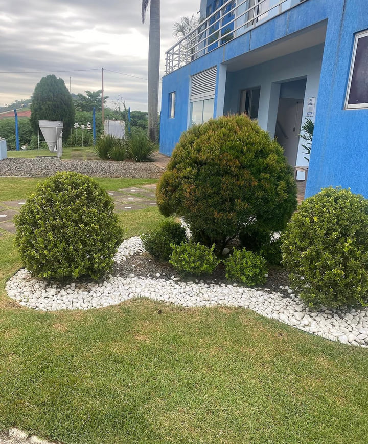 Jardim residencial com arbustos aparados e pedras brancas