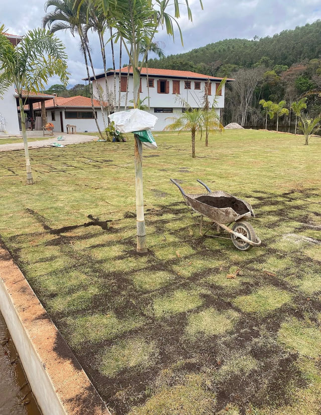 Implantação e manutenção de gramado em área externa