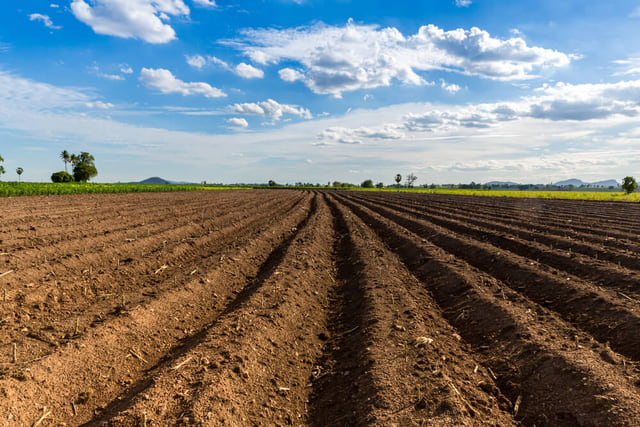 Área de terra preparada em linhas para terraceamento